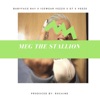 Meg the Stallion (feat. Veeze) - Single