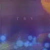Try (feat. Tainsus) song lyrics