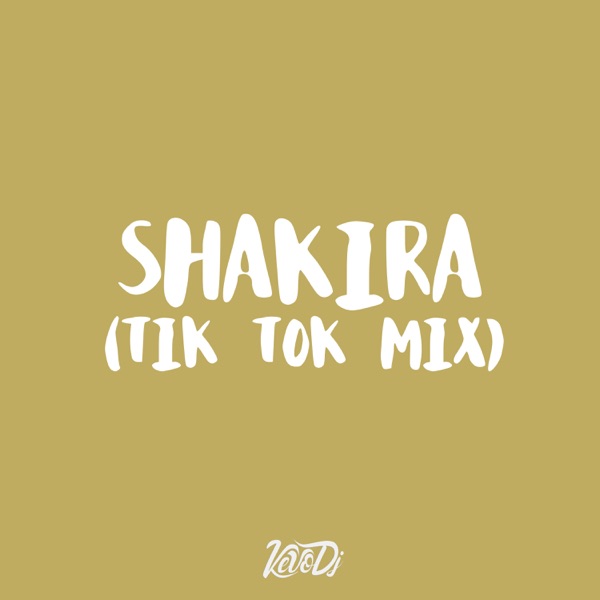 Shakira - Single (Tik Tok Mix) - Single - Kevo DJ