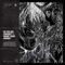 In the Air Tonight - Marissa Nadler & Stephen Brodsky lyrics
