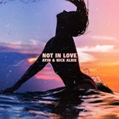 Not In Love artwork