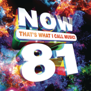 Now That's What I Call Music!, Vol. 81 - Various Artists