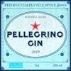 Pellegrino & Gin - Single