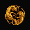 Beyoncé - The Lion King: The Gift  artwork