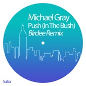 Push (In the Bush) [Birdee Remix] artwork