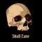 Skull Cave - B / I / R / T / H / D / A / Y lyrics