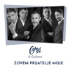 Zovem prijatelje moje (feat. Giuliano) - Single