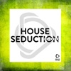 House Seduction, Vol. 24