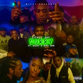 Sorry (feat. Riko Dan) [Wiley Presents Lickle Jay] artwork