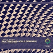 In a Thousand Souls (Andy Kumanov Remix) artwork