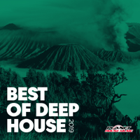 Various Artists - Best of Deep House 2019 artwork