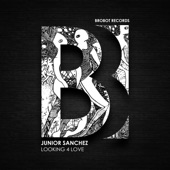 Looking 4 Love (Dub) artwork
