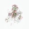 Wish - Blanc lyrics