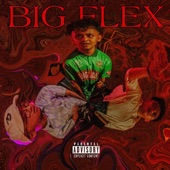 BIG FLEX (feat. ABANGSAPAU & Tengyboy) artwork
