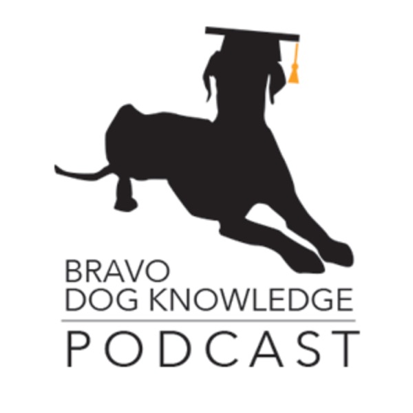 Bravo Dog Knowledge: Dog Training Podcast Bravo Dog Knowledge: Dog Training Podcast