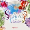 Spring Collection