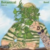 Botanical [Side A]
