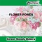 FLOWER POWER [Music Box Short ver.] - Korean Melody Maker lyrics