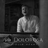 Via Dolorosa - Single