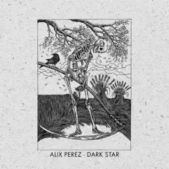 Dark Star - Single by Alix Perez album reviews, ratings, credits