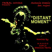 Distant Moment (Urbanicity Ceremonial Satsang Remix) [feat. Anjani] artwork