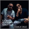 Vamos a Probarnos (feat. Charlie Cruz) - Single