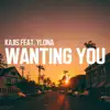 Stream & download Wanting You (feat. Ylona) [Extended Mix] - Single