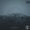 In the Dark - EP