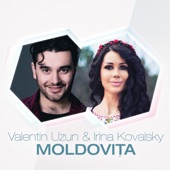 Moldovita artwork