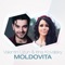 Moldovita artwork