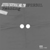 Meaning - Single