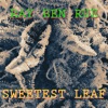 Sweetest Leaf - Single