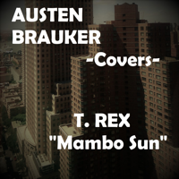 Austen Brauker - Mambo Sun artwork