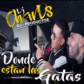 Dónde Están Las Gatas artwork