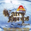 Water Drops Riddim, 2008