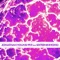 99.9 (feat. SixteenInMono) - Jonathan Young lyrics