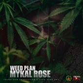 Weed Plan (Single) artwork