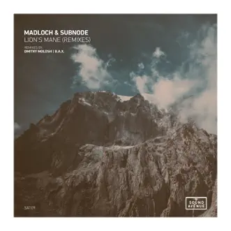 Lion's Mane (Dmitry Molosh Remix) by Madloch & Subnode song reviws