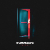 Chambre noire artwork