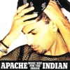 Make Way For The Indian, 1995