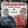 Extrañandote (feat. Falsetto) - Single album lyrics, reviews, download