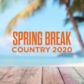 Spring Break Country 2020 artwork