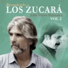 Recordando a Los Zucará (feat. Chacho Piriz), Vol 2