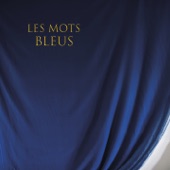 Les mots bleus artwork