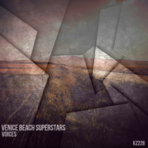 Voices - Single