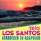 De Que Me Sirve La Vida - Trio Los Santos lyrics