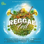 Reggae Fest Riddim artwork