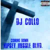 Coming Down Nipsey Hussle Blvd. album lyrics, reviews, download