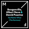 No Matter What (The Remixes) - Single album lyrics, reviews, download