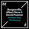 Stream & download No Matter What (The Remixes) - Single